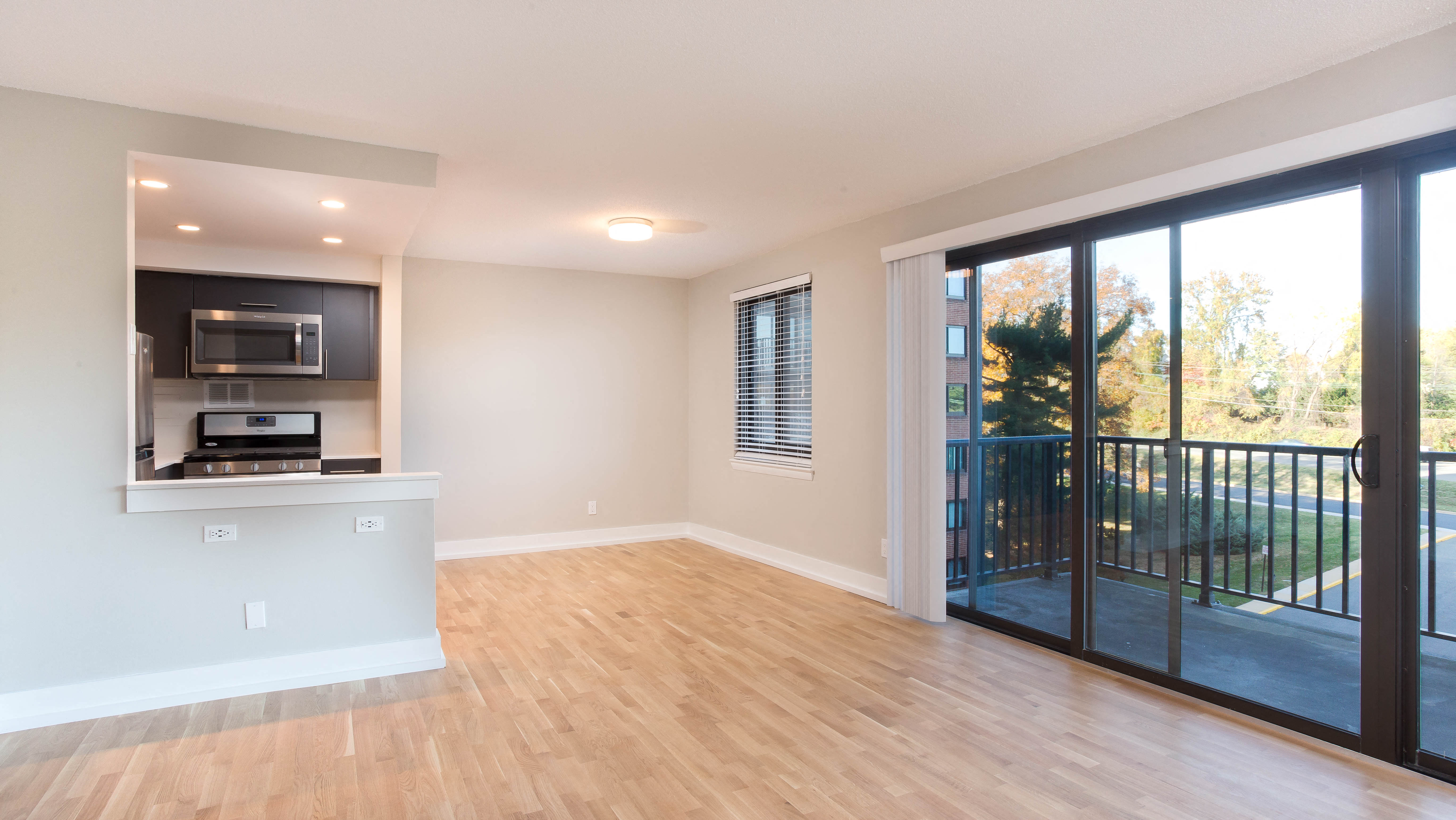 2 Bedroom, 1 Bathroom - Kitchen