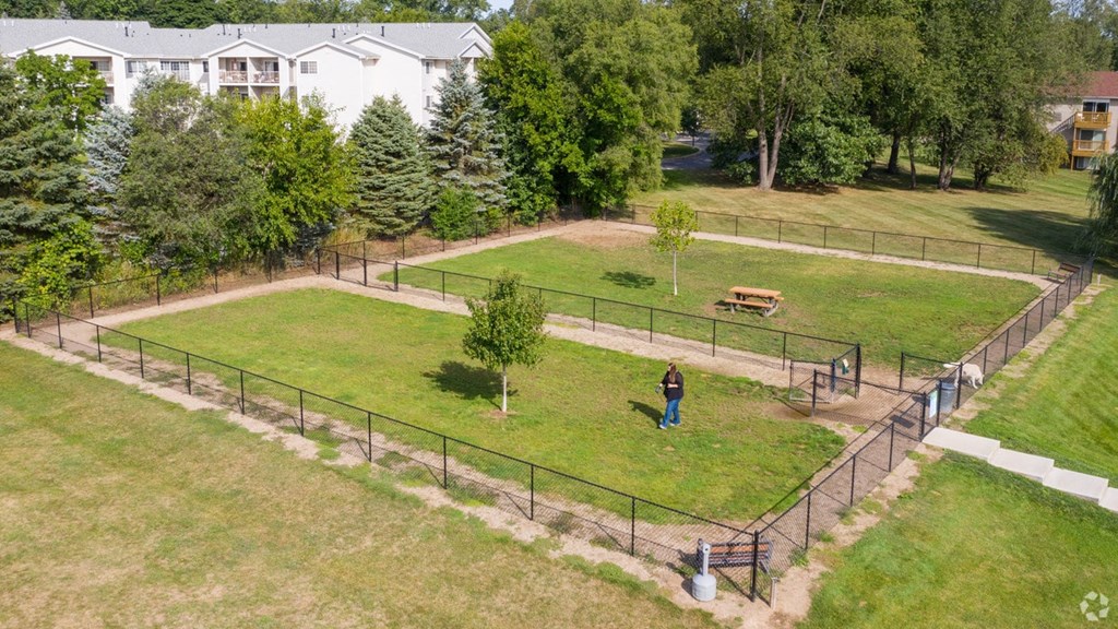 a park with a person standing in the middle of a field