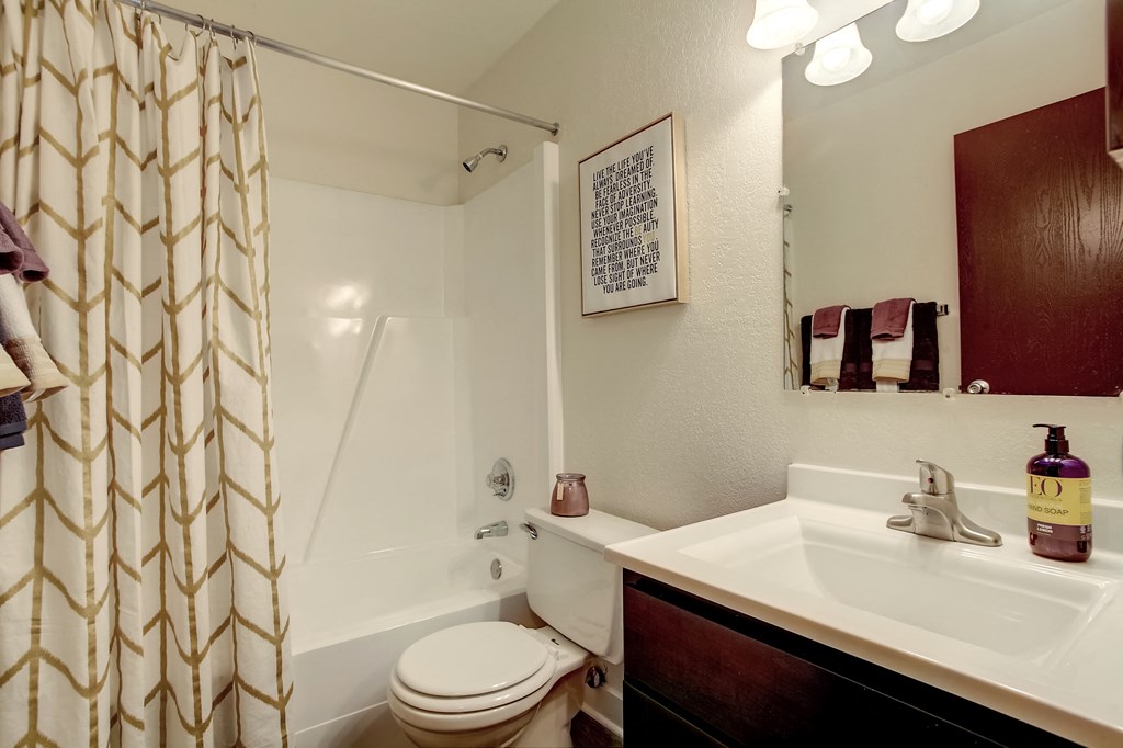 a bathroom with a sink and a toilet and a shower