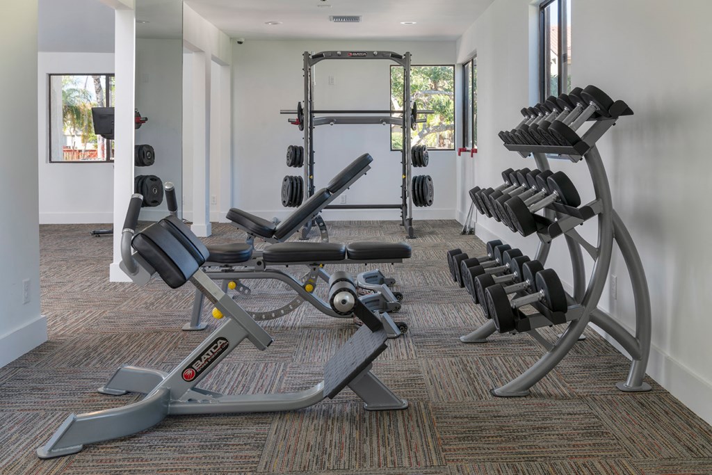 a gym with weights and cardio equipment in a building
