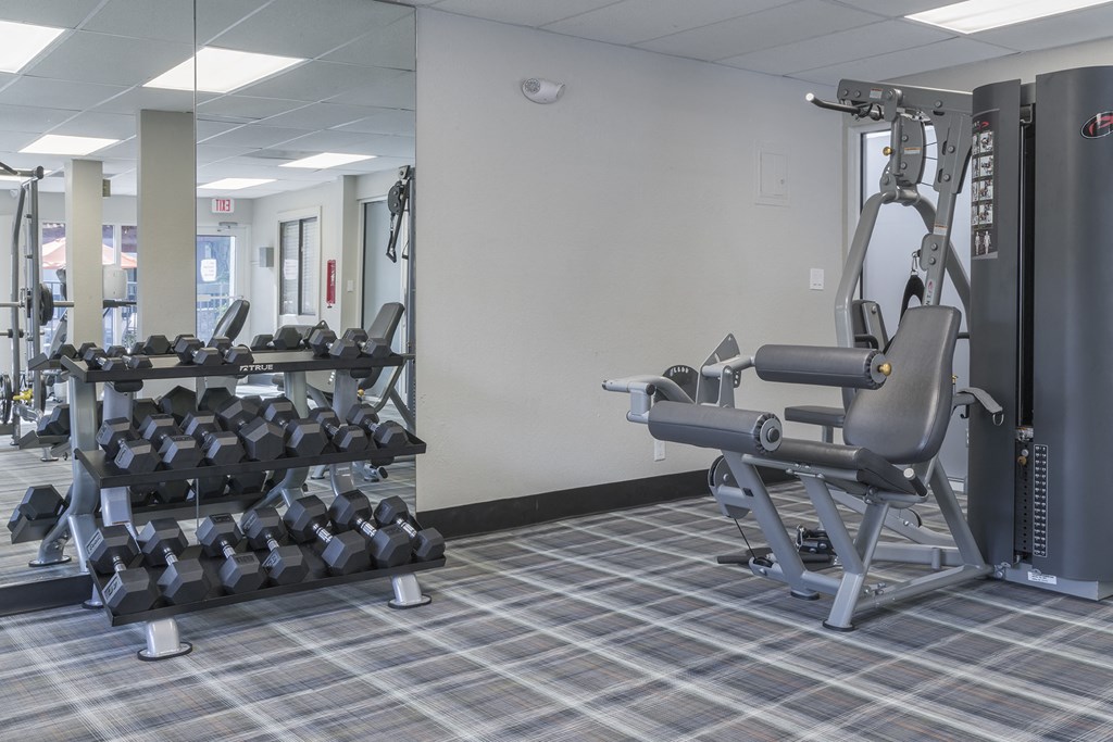 a gym with weights and cardio equipment in a building