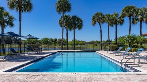A swimming pool surrounded by palm trees and lounge chairs.