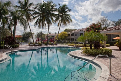 a large swimming pool with palm trees