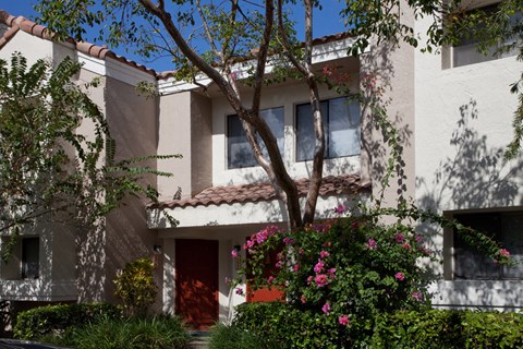 a house with a flowering tree in front of it