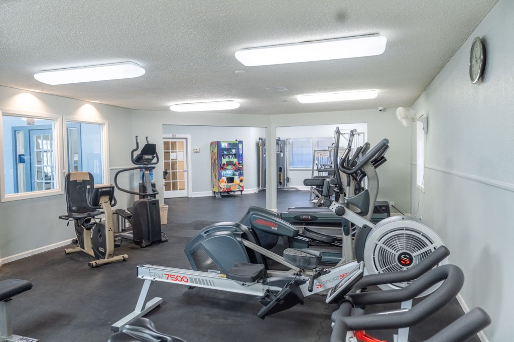 the gym is equipped with cardio equipment and weights