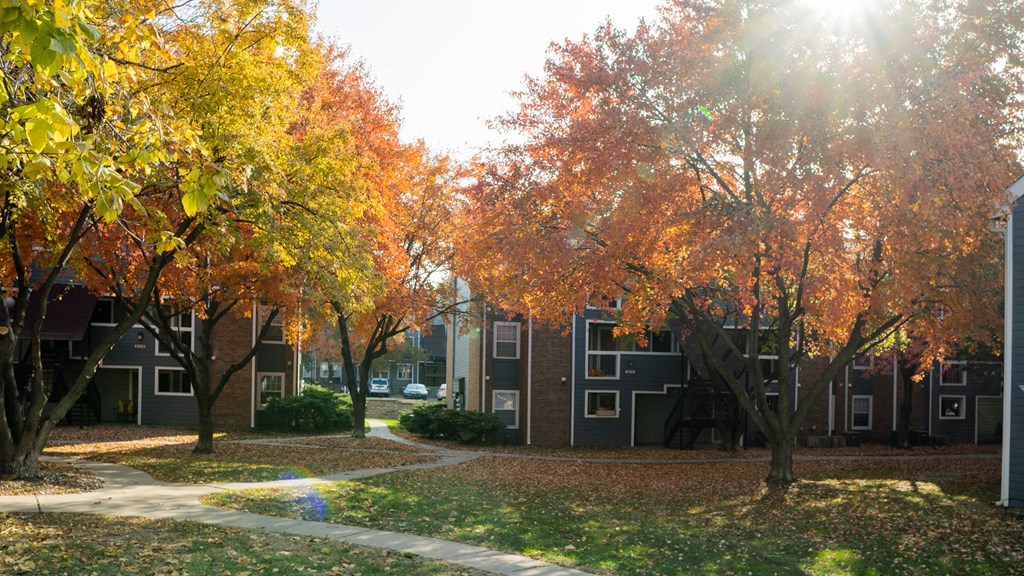 a city in the fall with leaves on the trees