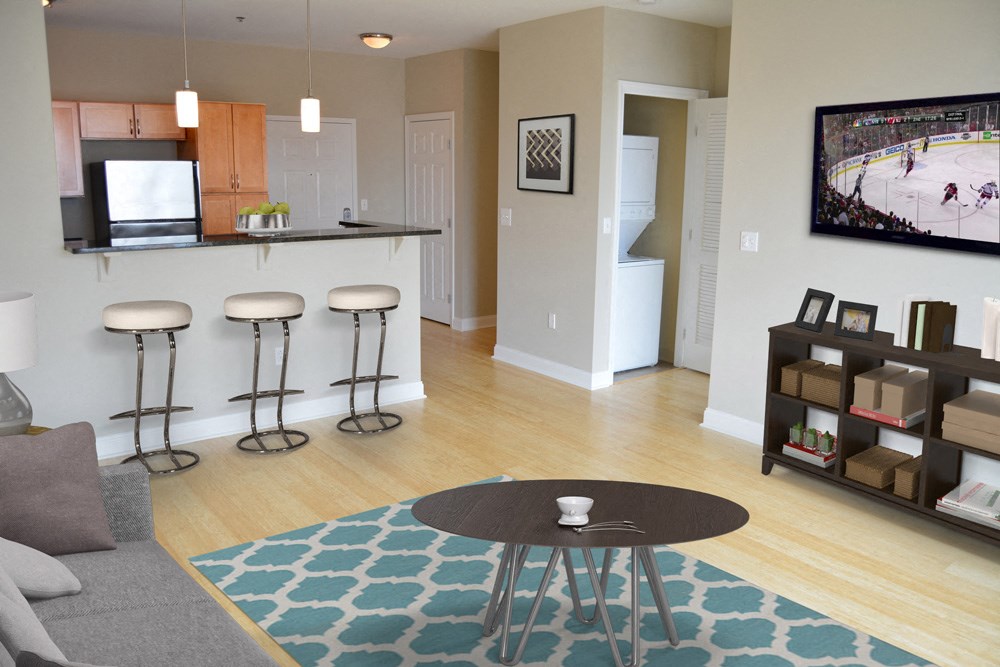 a living room with a kitchen and a television