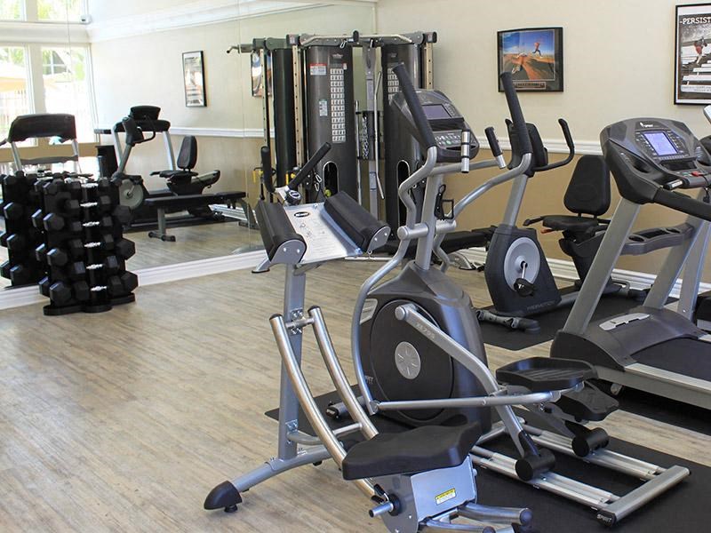 Campbell Plaza Gym Apartments
710 Nido Drive, Campbell, CA 95008