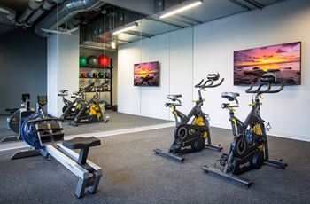 Spin bikes