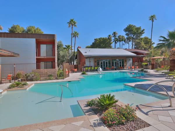 A swimming pool surrounded by palm trees and a building.
