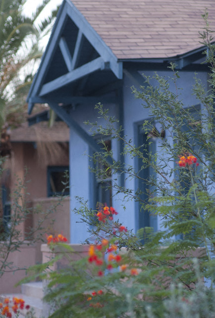 University Tucson Arizona