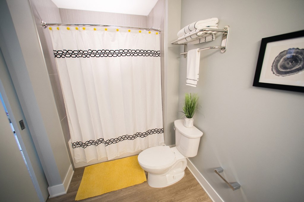 Shower Bathtub Combination Bathroom