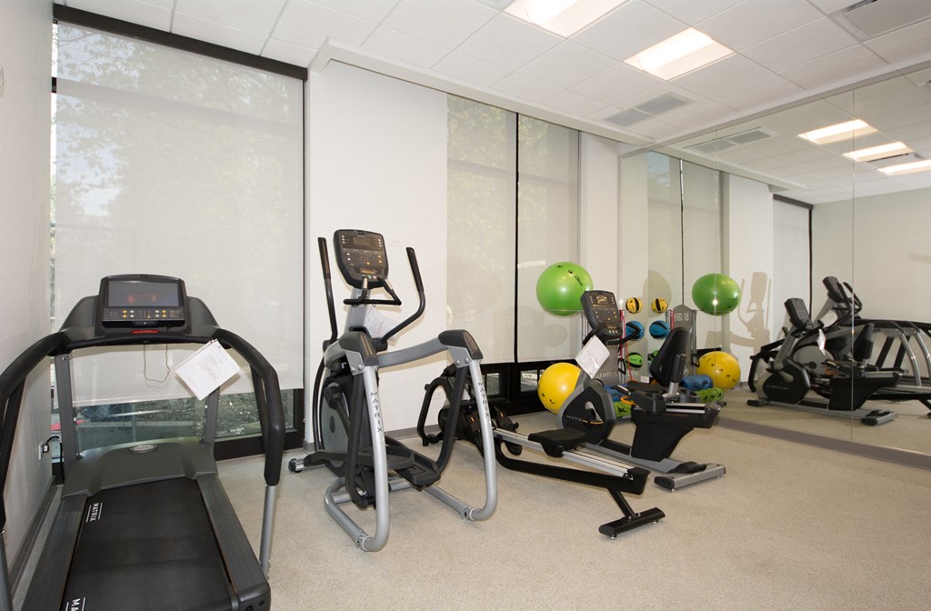 a gym with cardio machines and weights in a room with windows