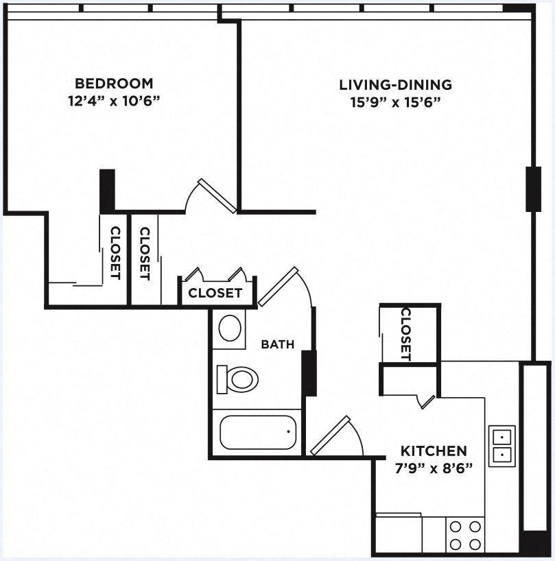 300 S. Damen 1 Bed Apartment, Affordable for Rent - Photo Gallery 4