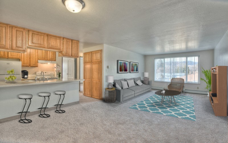 a living room with a kitchen and a couch