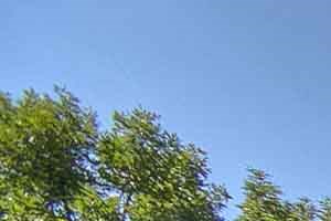Village on Cowan shared green area
