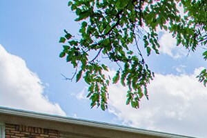 Fountainview Apartments 4800 North Post Road Indianapolis In Rentcafe