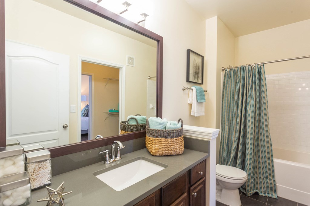 a bathroom with a mirror and a sink and a toilet
