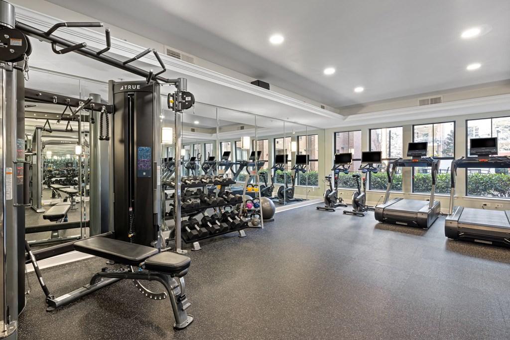 the gym at the estates apartments