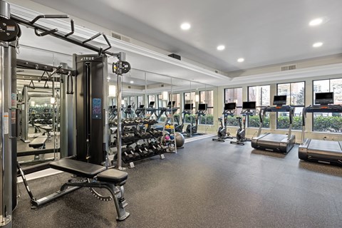 the gym at the estates apartments