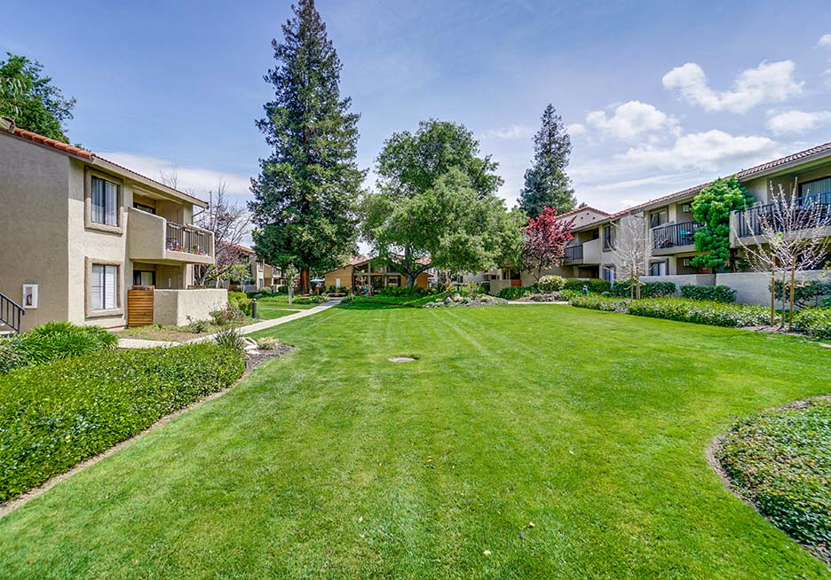 Grass area near building  l Terra Willow Glen