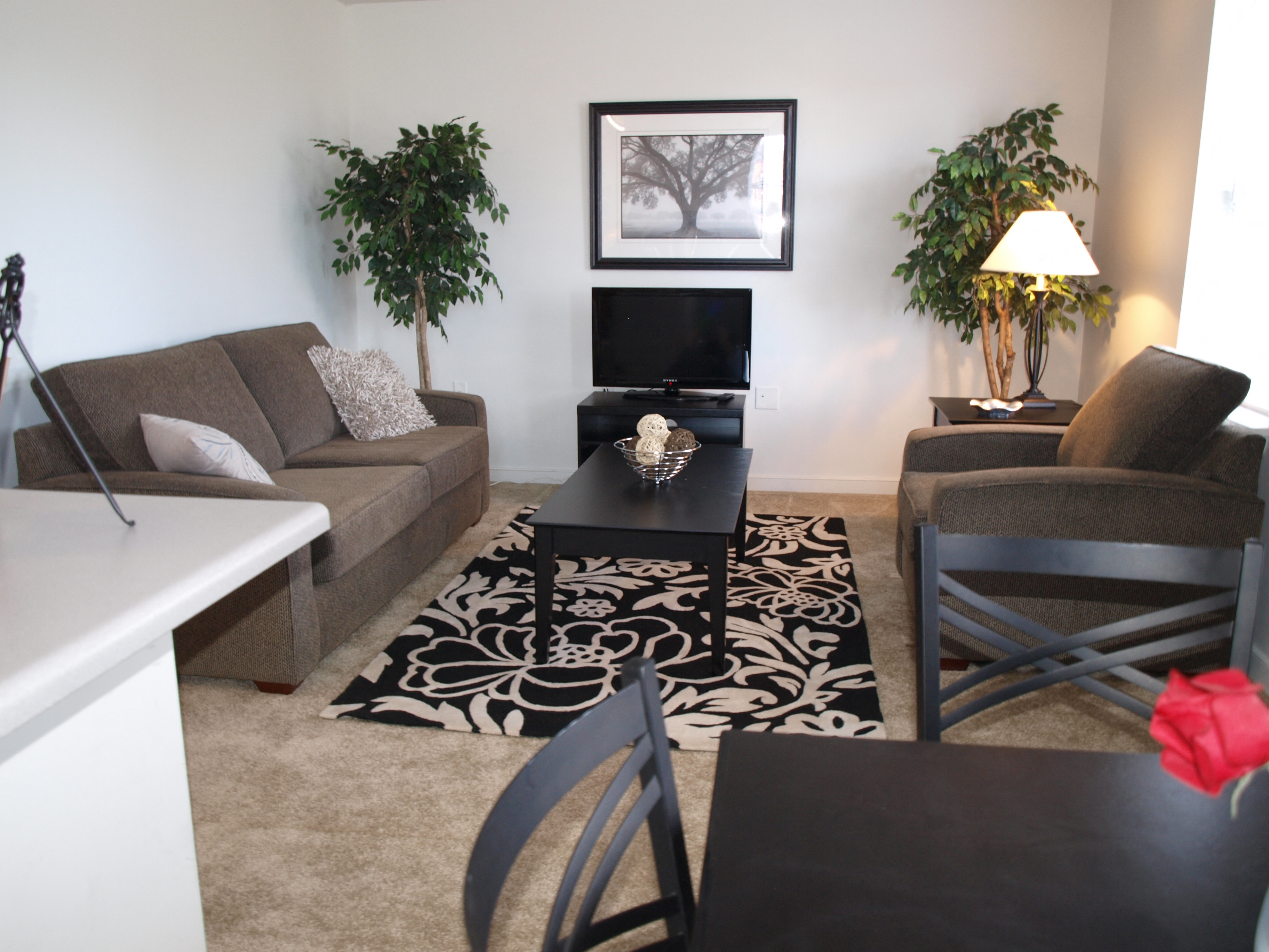 Marshall Park Townhomes