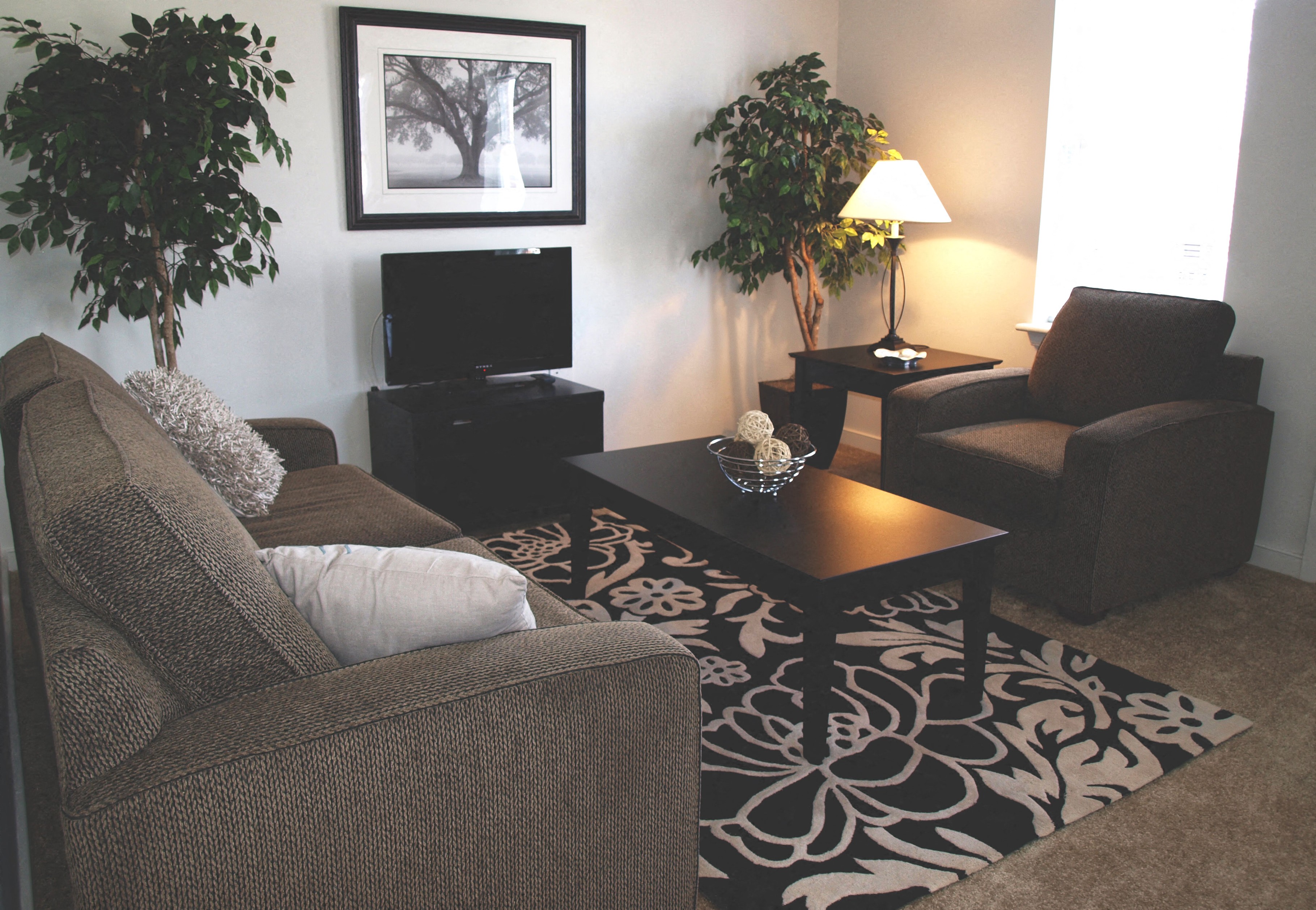 Marshall Park Townhomes