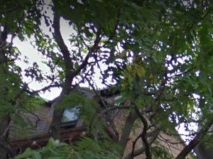 163 165 W Schiller St Apartments 163 W Schiller St Chicago Il Rentcafe