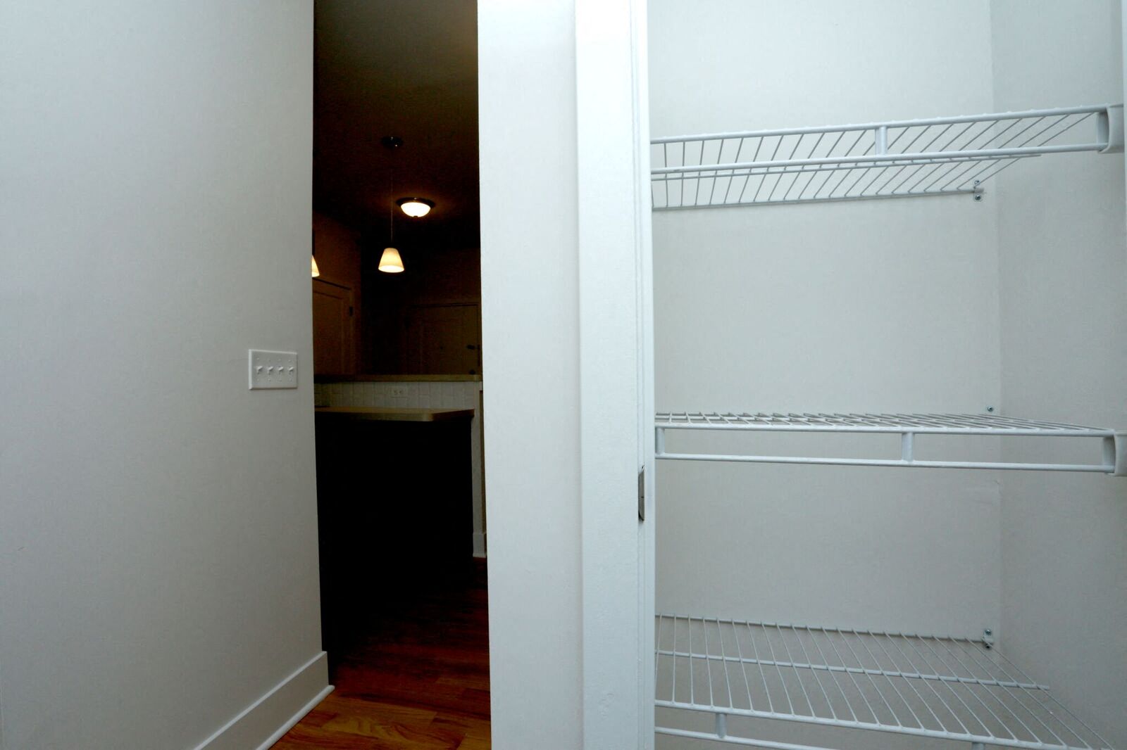view of the inside of closet/pantry