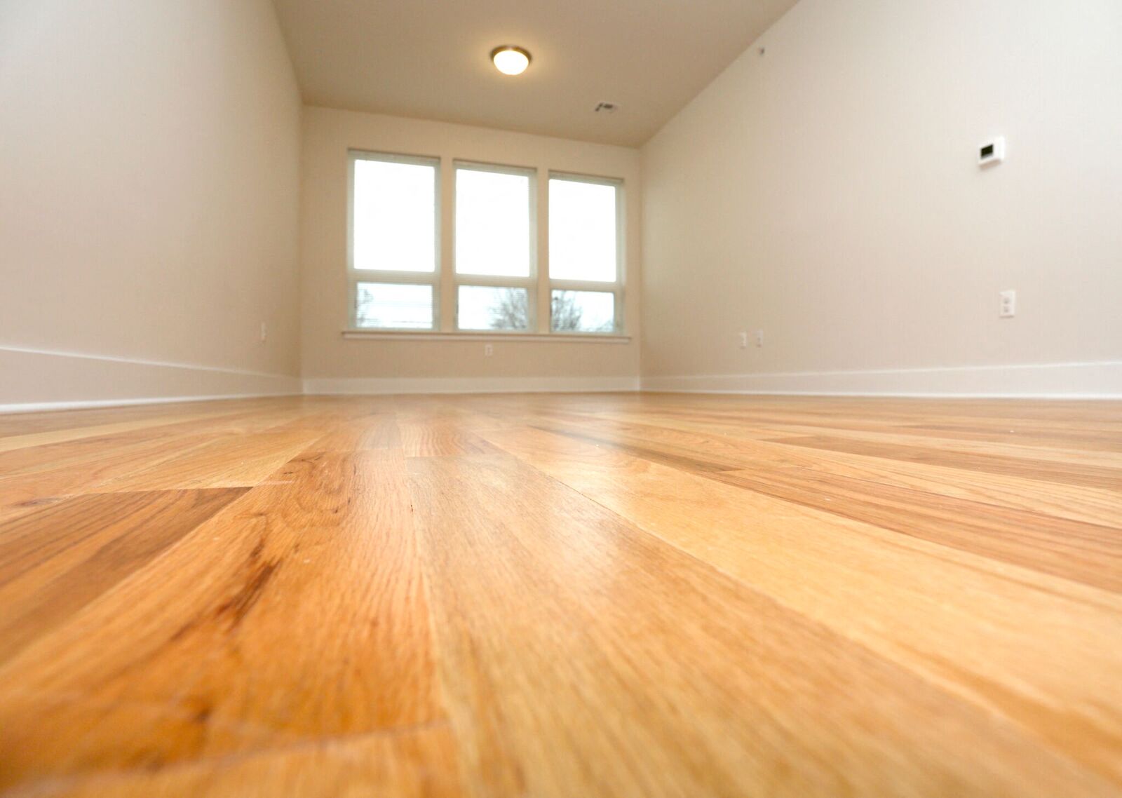 living room with hardwood floors and white walls