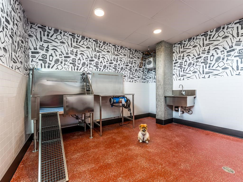 a small dog sitting in the middle of a kitchen