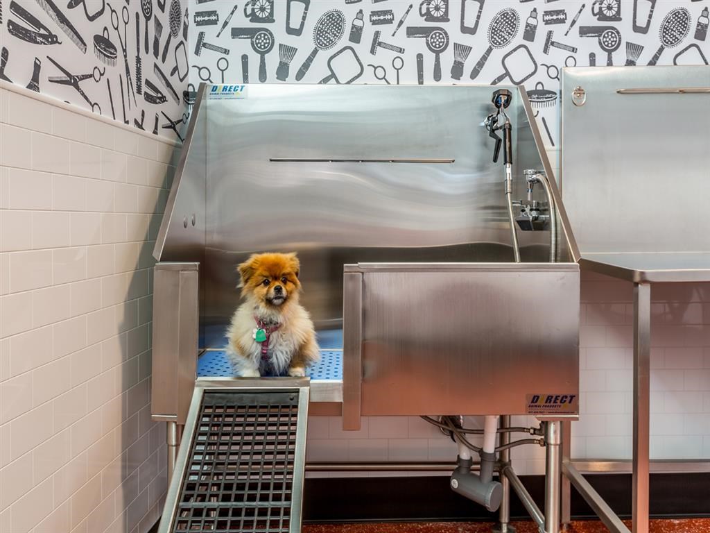 a dog sitting in a tub in a bathroom