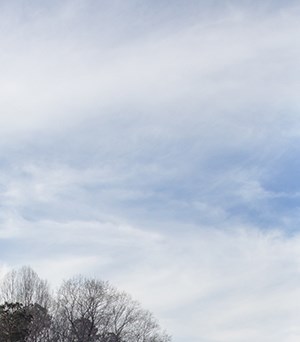 Apartments in Cary, NC | Weston Lakeside Apartments