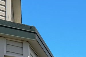 Apartments For Rent In Seattle Wa Mural Photo Gallery