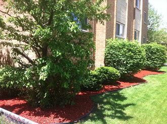 a yard with red mulch and bushes in front of a building