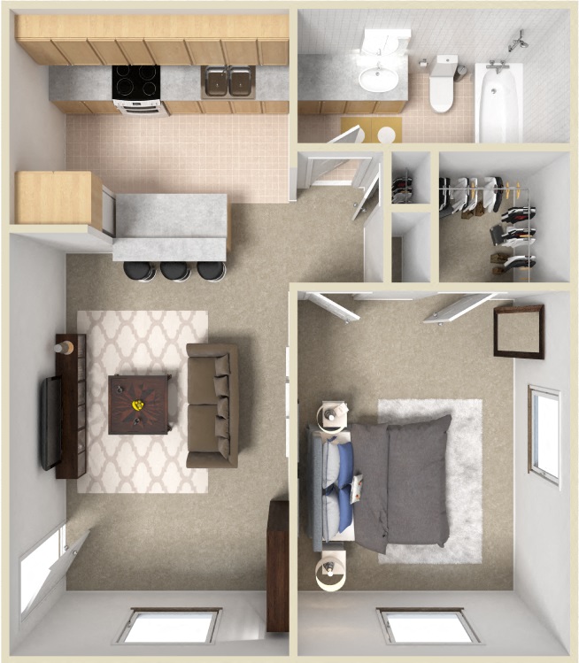 1 Bedroom Apartment