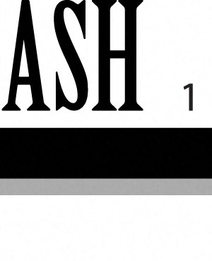 One Bedroom Ash