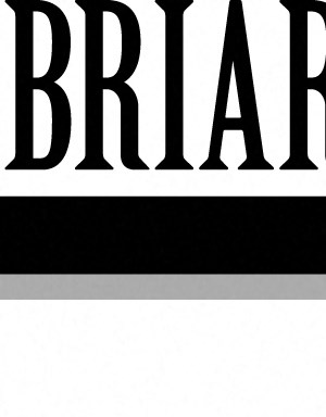 Two Bedroom Briar