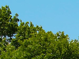 Nashville Tennessee Apartments Cheap Nashville Tennessee Apartments Cheap