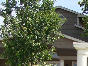 Lubbock Tx Apartments For Rent Rentcaf 233