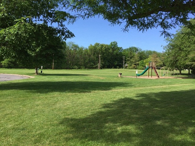 a park with a swing set in the grass