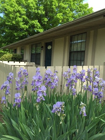 a house with purple flowers in front of a fence