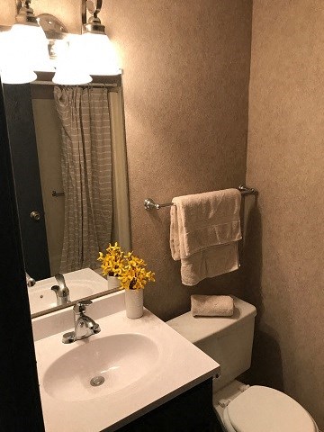 a bathroom with a toilet and a sink and a mirror