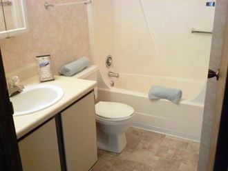 a bathroom with a toilet and a sink and a bath tub