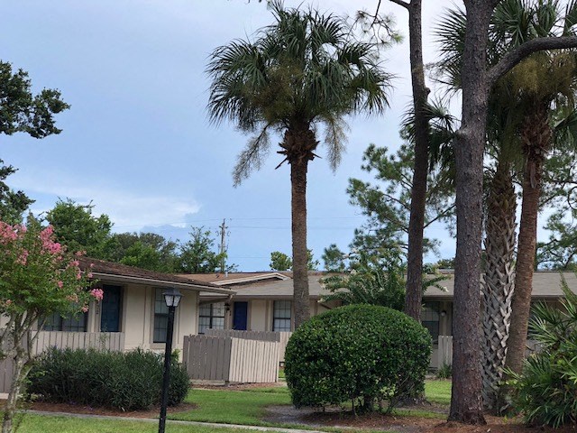 a house with a palm tree in front of it