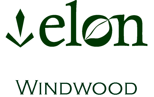 Floor Plans Of Windwood In Palm Bay Fl