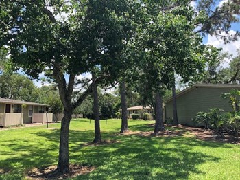 15300 W. Colonial Dr. - Leasing Office Studio-2 Beds Apartment for Rent - Photo Gallery 3