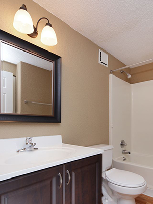 a bathroom with a toilet and a sink and a mirror