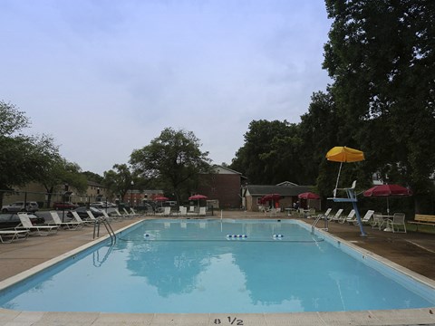 A large blue swimming pool with a diving board and lounge chairs around it.