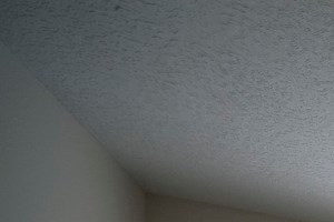 Lofts at LaVilla | Jacksonville, FL | Apartment